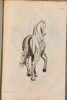 La Parfaite Connoissance Des Chevaux