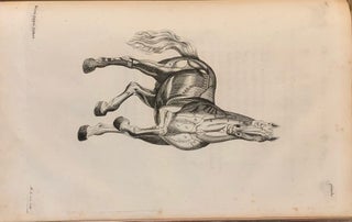 La Parfaite Connoissance Des Chevaux